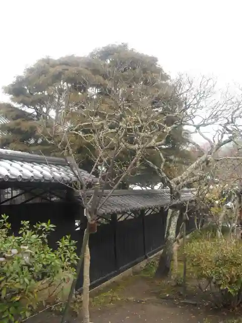 東慶寺のその他建物