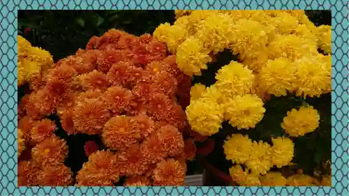 笠間稲荷神社(茨城県)