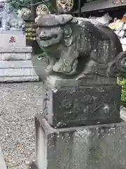 菊田神社の狛犬