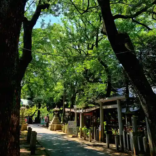 若宮八幡社(愛知県)