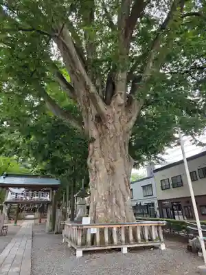 住吉神社(岩手県)
