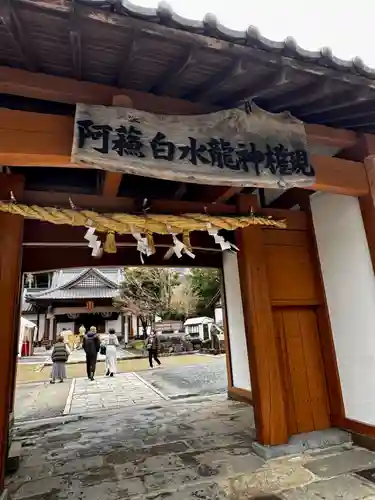 阿蘇白水龍神權現～白蛇神社～(熊本県)