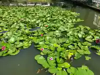 岩崎弁財天(埼玉県)