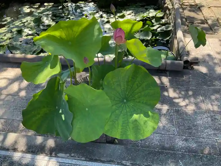 歓喜院(兵庫県)