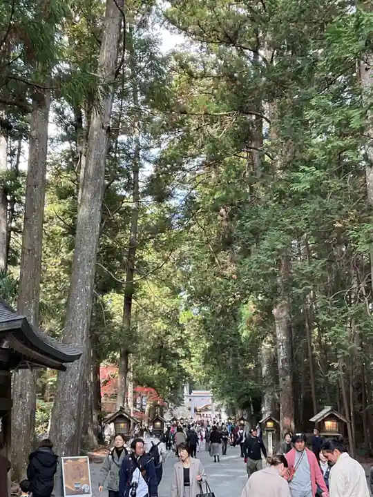 小國神社(静岡県)