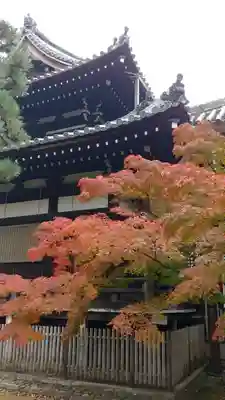 浄福寺の本殿・本堂