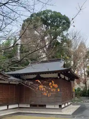 阿佐ヶ谷神明宮(東京都)