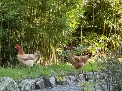 嶽之下宮(静岡県)