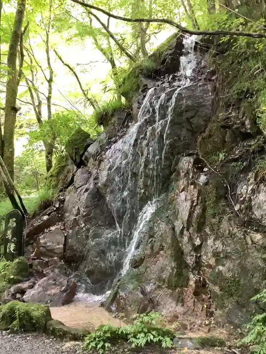 花園神社の自然