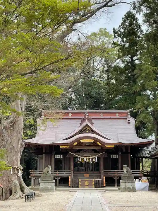 素鵞神社の本殿・本堂