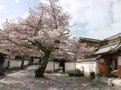 正寿院(京都府)