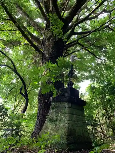 浪切不動尊の自然