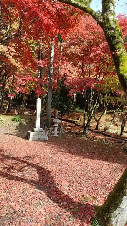 鶏足寺(滋賀県)