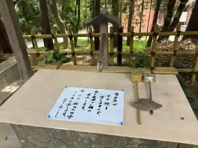 二宮神社の{uncategorized: "未分類", other: "その他", undefined: "問題あり", building: "その他建物", grave: "お墓", sacred_gate: "鳥居", guardian: "狛犬", statue: "像", buddha: "仏像", history: "歴史", nature: "自然", garden: "庭園", animal: "動物", pagoda: "塔", temizu: "手水舎", mountain_gate: "山門・神門", sanctuary: "本殿・本堂", subordinate: "末社・摂社", art: "芸術", scenery: "景色", jizo: "地蔵", ema: "絵馬", goshuin: "御朱印", omikuji: "おみくじ", items: "授与品その他", amulet: "お守り", goshuincho: "御朱印帳", eats: "食事", festival: "お祭り", votive_dance: "神楽", shichigosan: "七五三参", wedding: "結婚式", experience: "体験その他", initially: "初詣", around: "周辺", anti_infection: "感染症対策"}