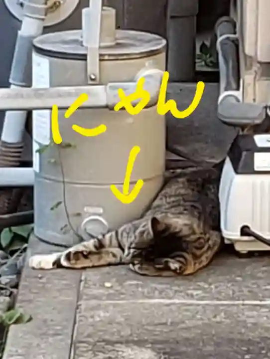 白金氷川神社(東京都)