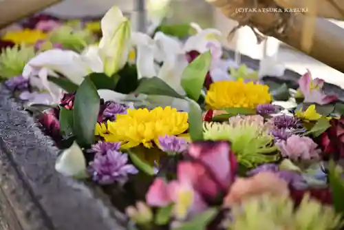 鳩森八幡神社の手水舎