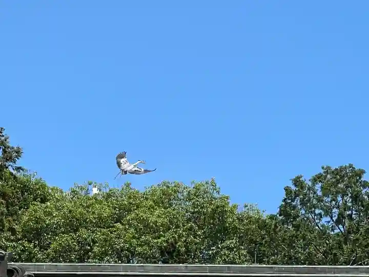 大生郷天満宮(茨城県)