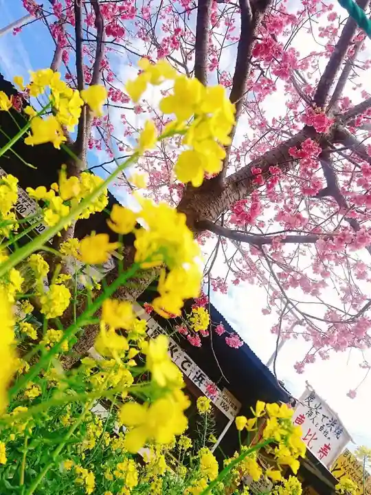 かっぱの寺 栖足寺の自然