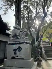 戸上神社の狛犬