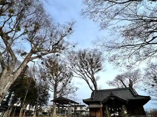 小諸八幡宮(長野県)