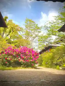 海龍王寺(奈良県)(2026年04月25日(土) 11時20分56秒投稿)