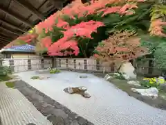 南禅寺の庭園