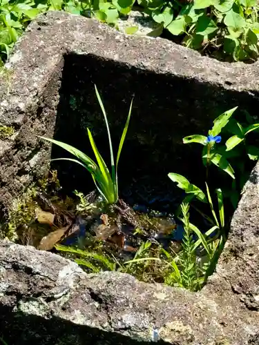 顕海寺(福井県)