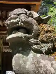 神田神社の狛犬