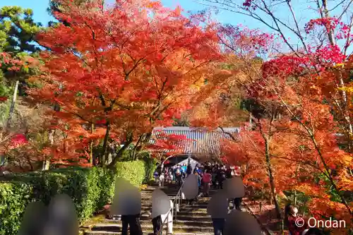 禅林寺（永観堂）(京都府)