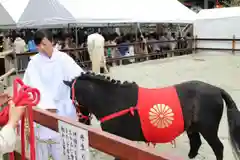 丹生川上神社（下社）の動物