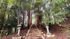 佐々伎神社(兵庫県)