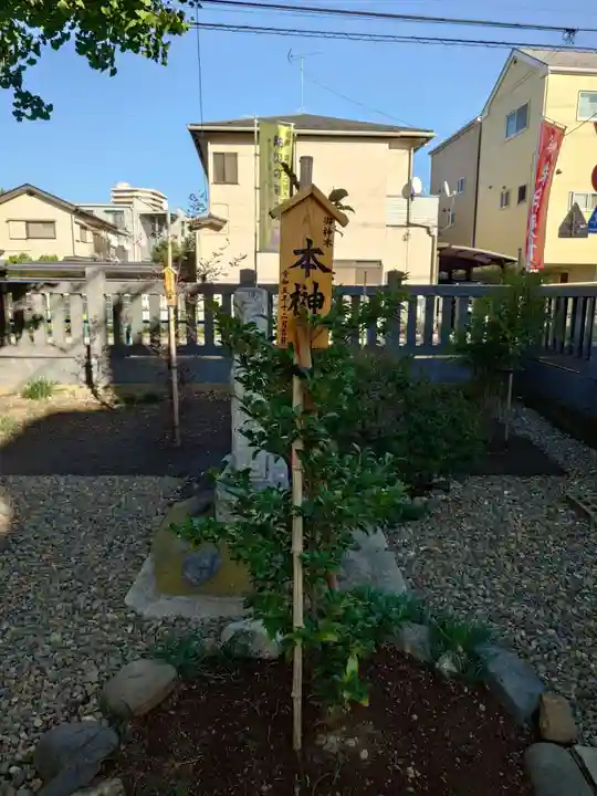 雷神社(東京都)
