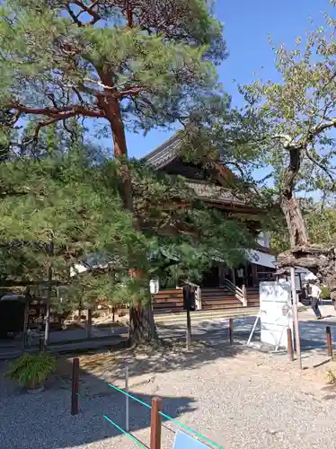 座光如来寺（元善光寺）の本殿・本堂