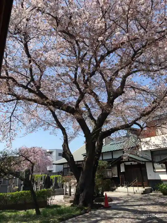 福全院(東京都)