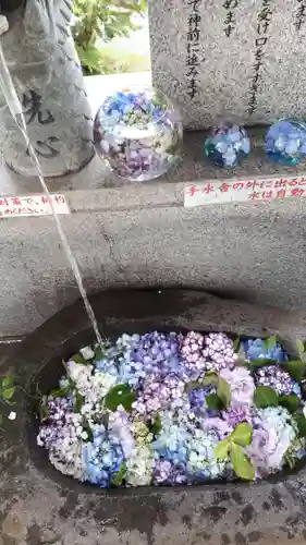 手稲神社の手水