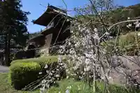 医光寺の自然