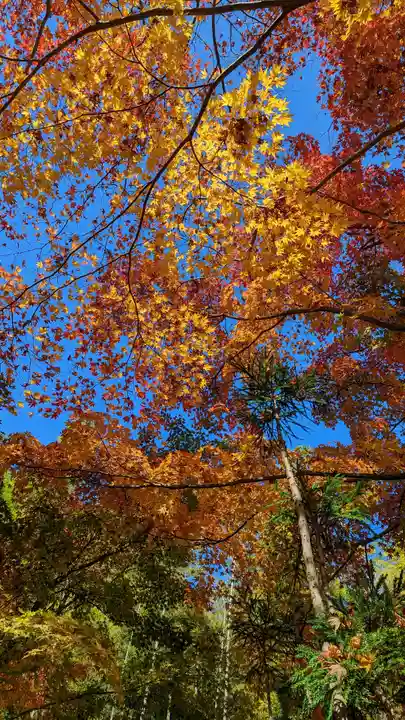 長法寺(京都府)