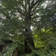 来迎院(奈良県)