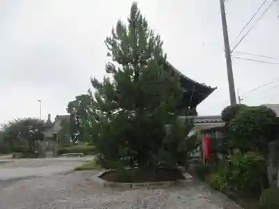 定願寺(栃木県)