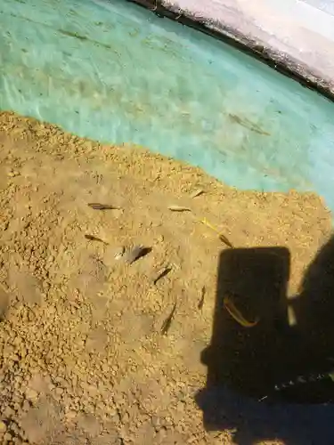 妙蓮寺のその他建物