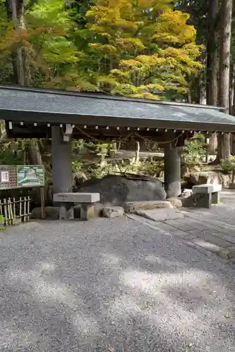 日枝神社の手水