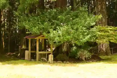 悲願寺(徳島県)