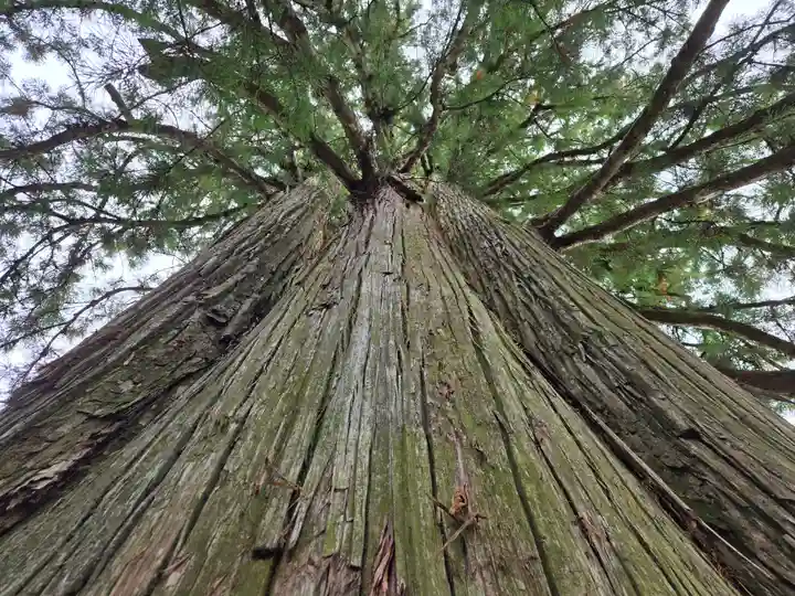 戸隠神社中社(長野県)