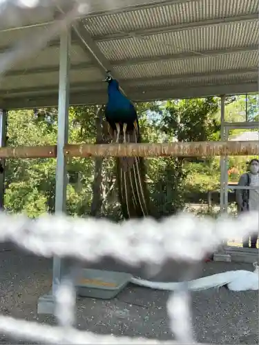 進雄神社(群馬県)