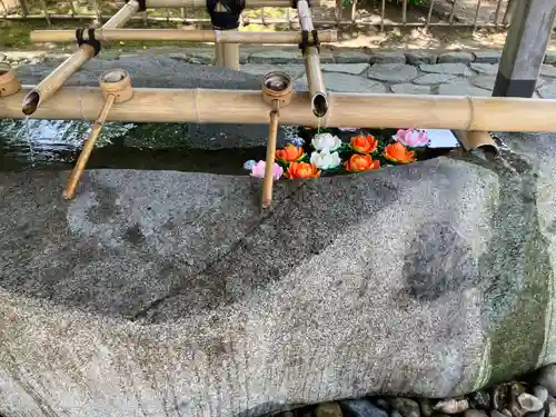 毛越寺(岩手県)