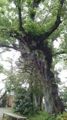 本郷氷川神社(東京都)
