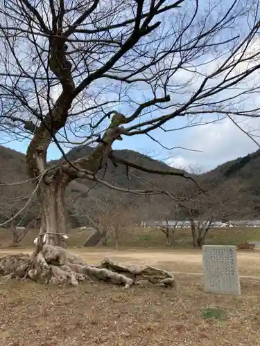 新宮八幡神社(兵庫県)