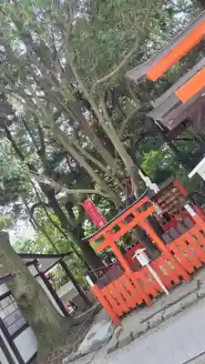 賀茂御祖神社（下鴨神社）(京都府)
