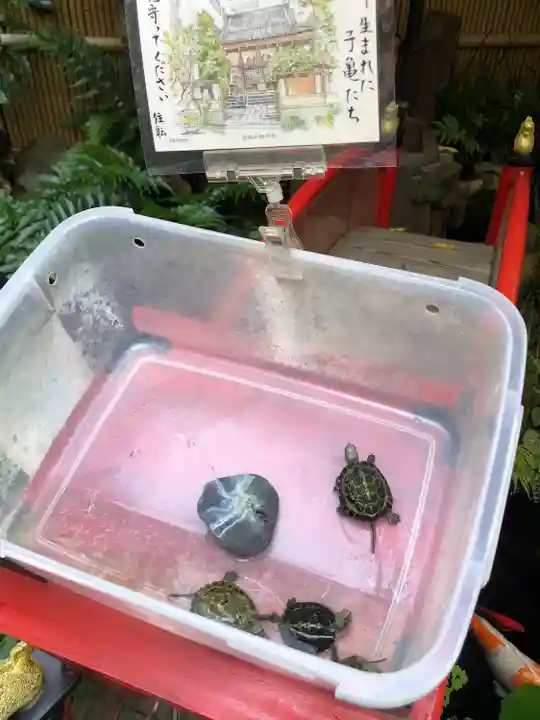 心城院(東京都)