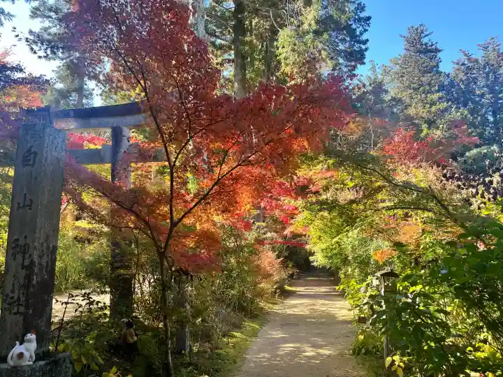 白山神社(滋賀県)
